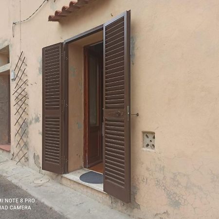 Anita E Adele House Apartment Pomaia Exterior photo
